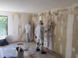 Best Commercial Mold Inspection  in Lawrenceburg, KY